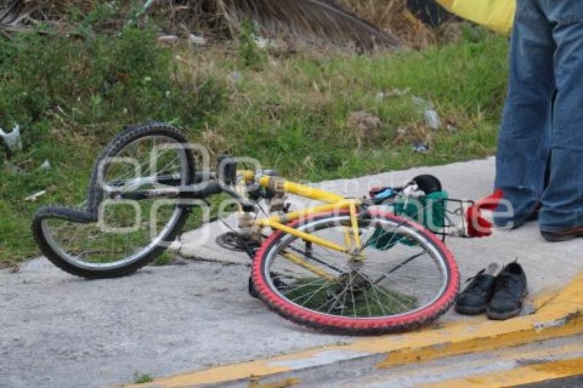 ATROPELLADO FEDERAL A TEHUACÁN