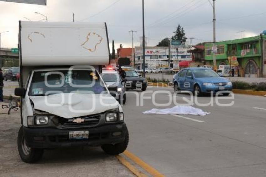 ATROPELLADO FEDERAL A TEHUACÁN