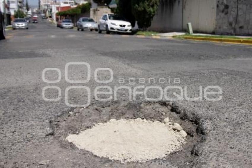 BACHES