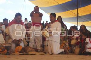 FESTIVAL MOLE DE CADERAS