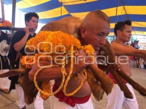 FESTIVAL DEL MOLE DE CADERAS