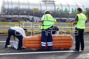 ATROPELLADO AUTOPISTA