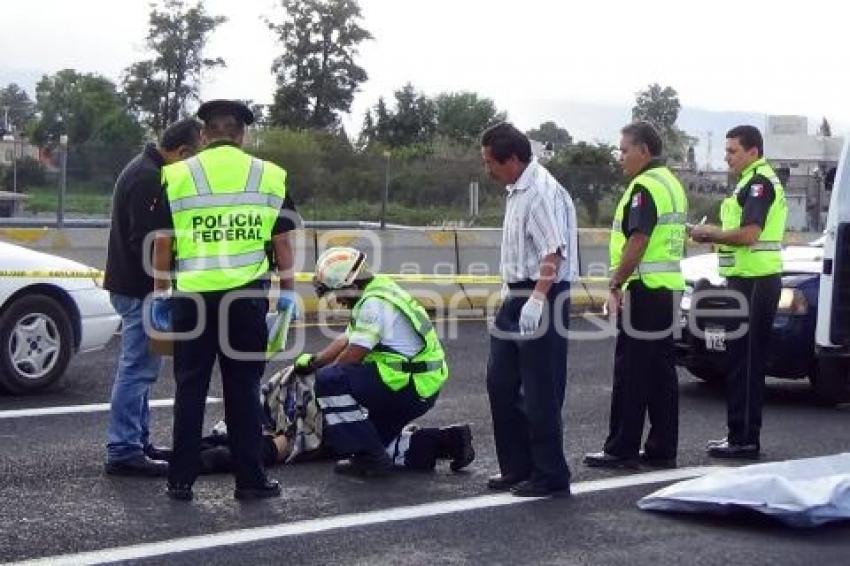 ATROPELLADO AUTOPISTA