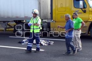 ATROPELLADO AUTOPISTA