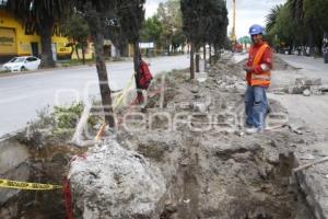 CICLOVIA BULEVAR HERMANOS SERDÁN