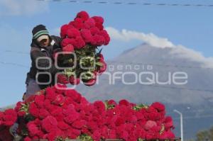 CORTE FLOR DE MUERTO . ATLIXCO