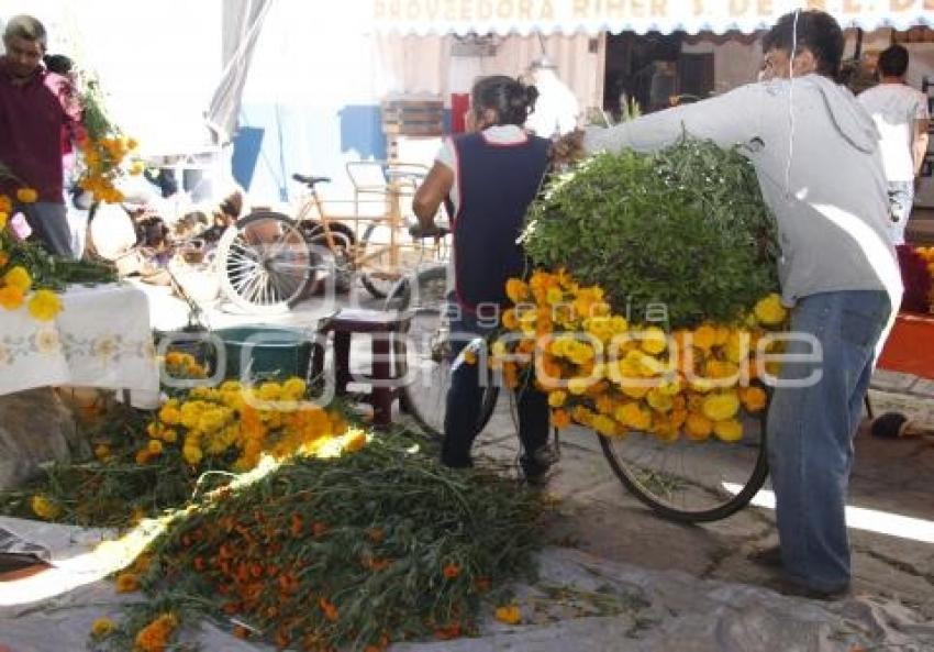 VENTA FLOR DE MUERTO . ACATLÁN