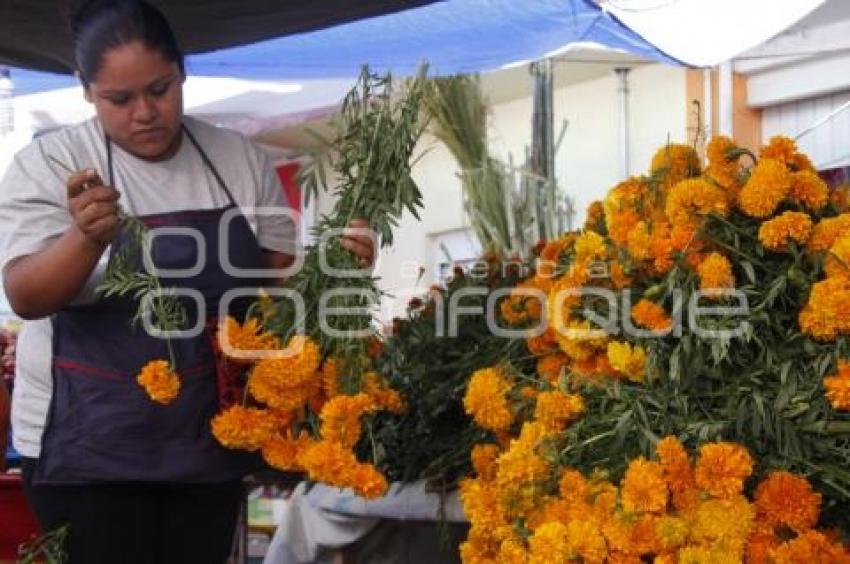 VENTA FLOR DE MUERTO . ACATLÁN