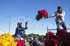 CORTE FLOR DE MUERTO . ATLIXCO