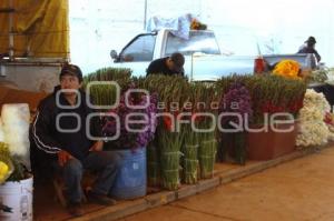 VENTA DE FLOR DE MUERTO