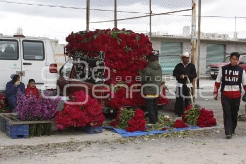 VENTA DE FLOR DE MUERTO