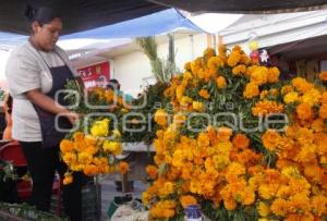 VENTA FLOR DE MUERTO . ACATLÁN