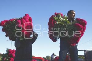 CORTE FLOR DE MUERTO . ATLIXCO