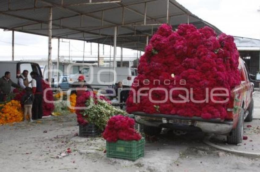 VENTA DE FLOR DE MUERTO