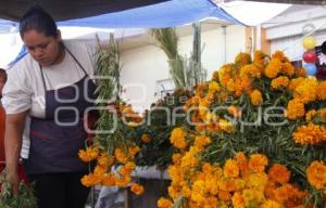 VENTA FLOR DE MUERTO . ACATLÁN