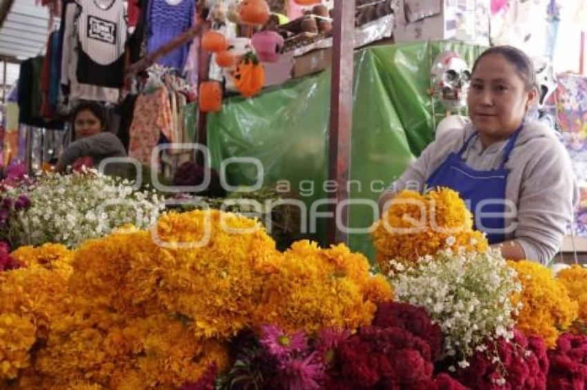 VENTA TEMPORADA DE MUERTOS