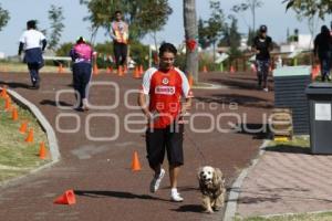 CARRERA MARCANDO HUELLAS