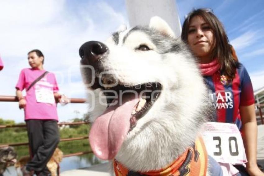 CARRERA MARCANDO HUELLAS