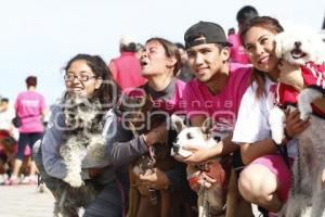 CARRERA MARCANDO HUELLAS