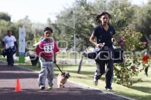 CARRERA MARCANDO HUELLAS