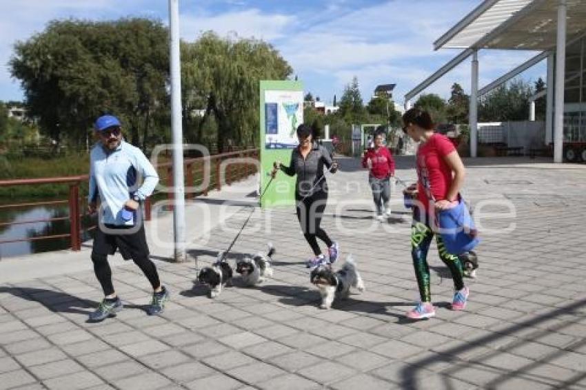 CARRERA MARCANDO HUELLAS