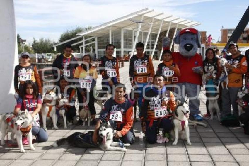 CARRERA MARCANDO HUELLAS