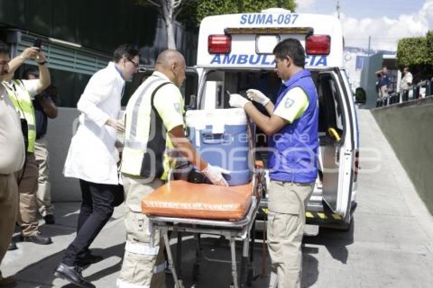 DONACIÓN ÓRGANOS IMSS