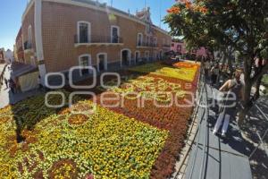 ATLIXCO . TAPETE MONUMENTAL