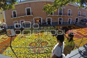 ATLIXCO . TAPETE MONUMENTAL