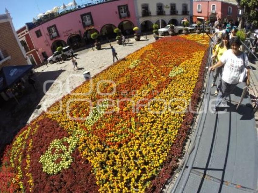 ATLIXCO . TAPETE MONUMENTAL