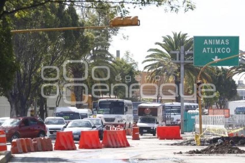 CICLOVÍA BULEVAR HERMANOS SERDÁN