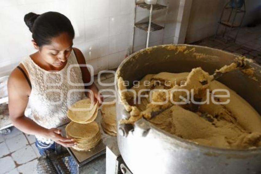 TORTILLA . ECONOMÍA