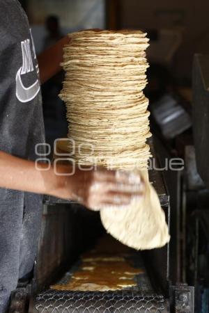 TORTILLA . ECONOMÍA