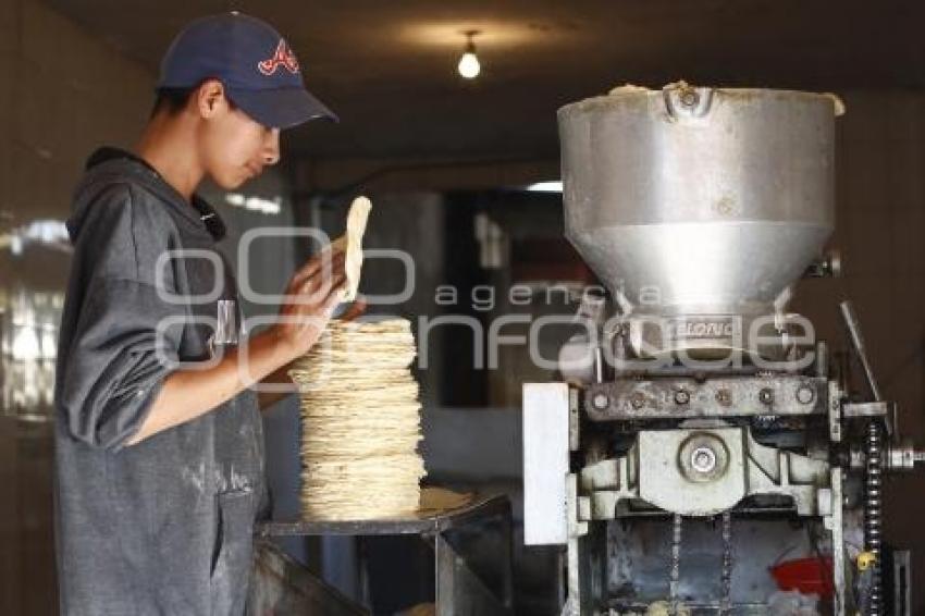 TORTILLA . ECONOMÍA