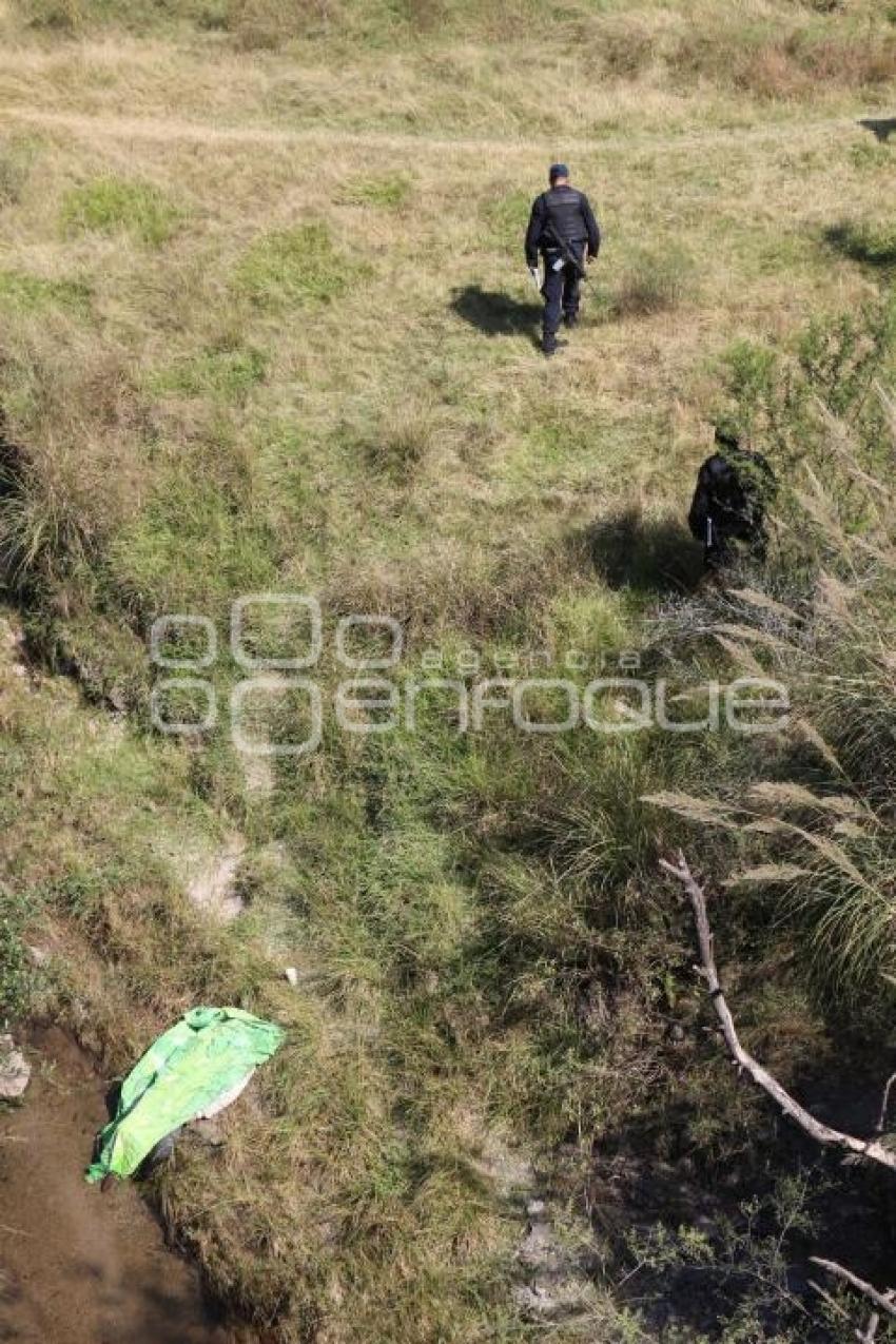 MUERTO CARRETERA VALSEQUILLO