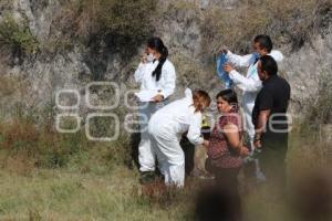 MUERTO CARRETERA VALSEQUILLO