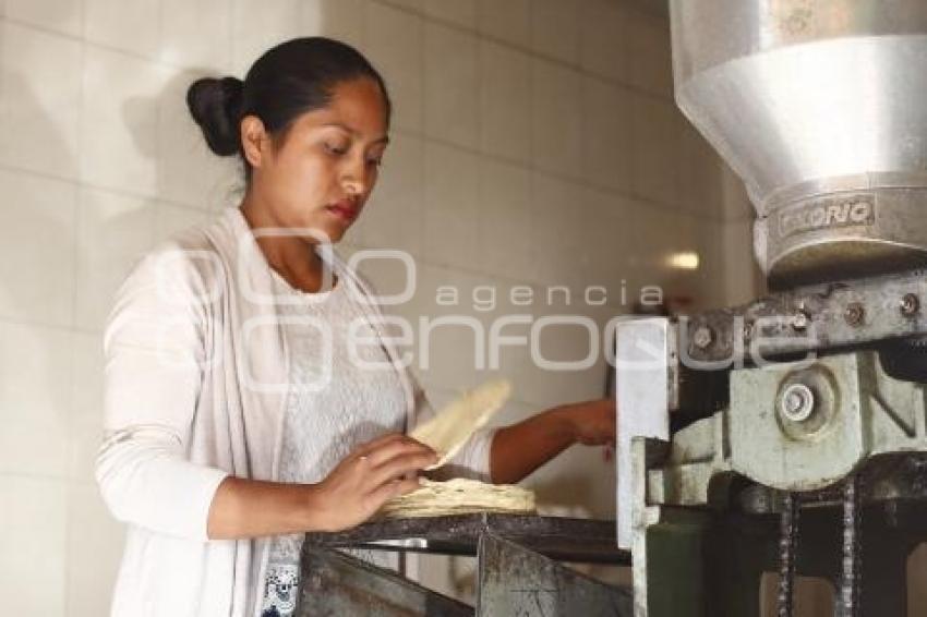 TORTILLA . ECONOMÍA