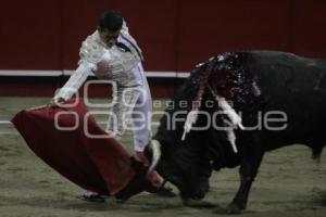 TOROS . JOSELITO ADAME