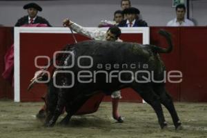 TOROS . JOSELITO ADAME