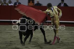 TOROS . ANDRÉS ROCA REY