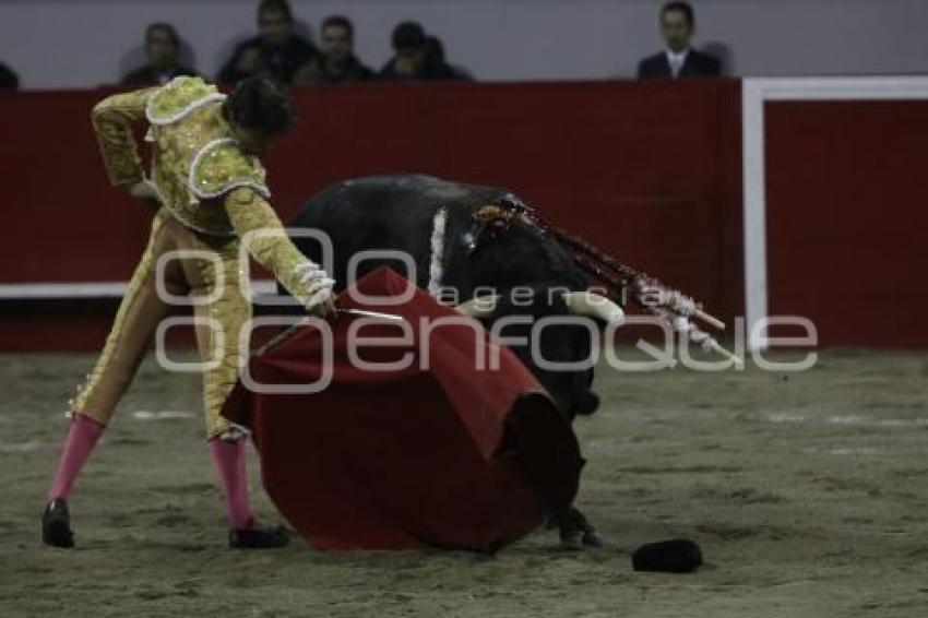 TOROS . ANDRÉS ROCA REY