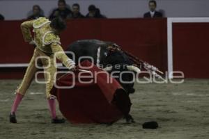 TOROS . ANDRÉS ROCA REY