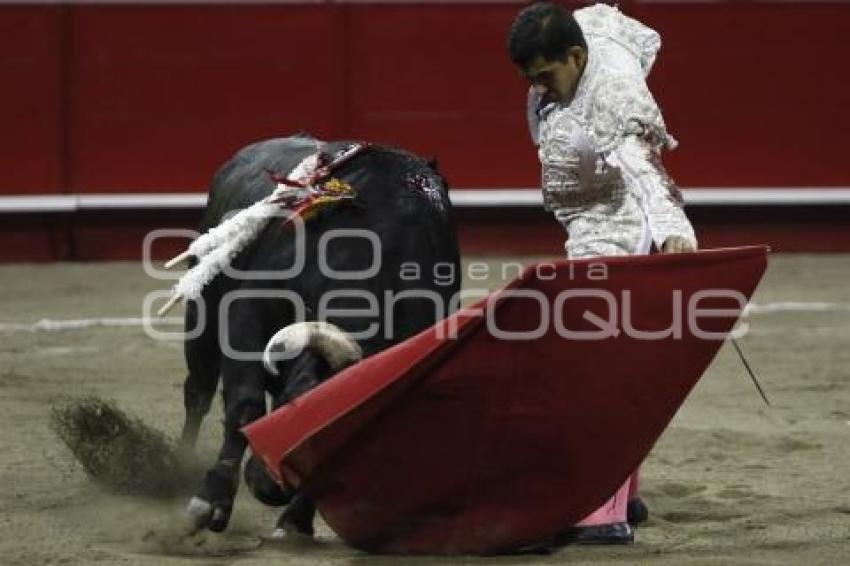 TOROS . JOSELITO ADAME