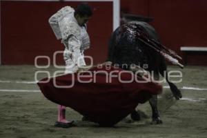 TOROS . JOSELITO ADAME