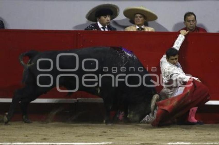 TOROS . JOSELITO ADAME