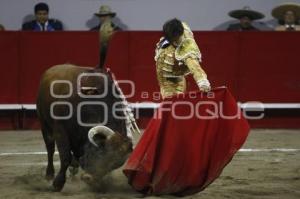 TOROS . ANDRÉS ROCA REY