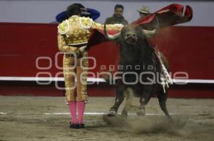 TOROS . ANDRÉS ROCA REY