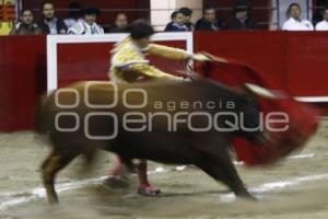 TOROS . ANDRÉS ROCA REY