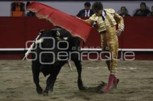 TOROS . ANDRÉS ROCA REY