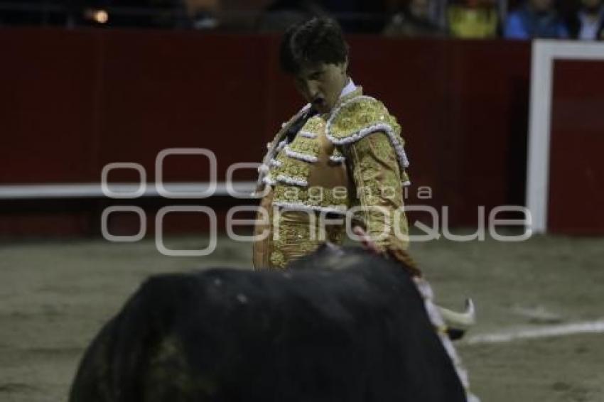 TOROS . ANDRÉS ROCA REY